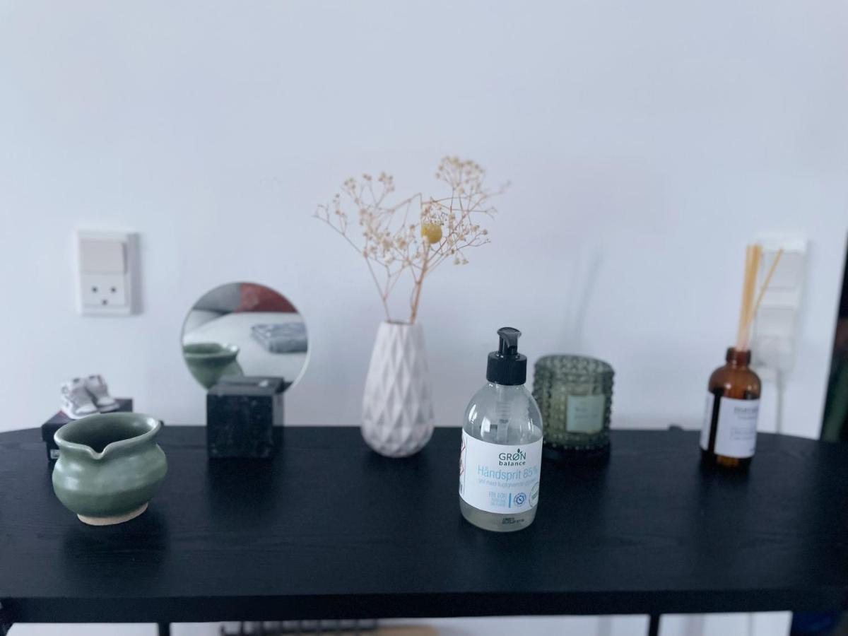 An Cosy Apartment Near Cph Airport Copenhagen Luaran gambar